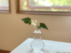 お花のある暮らし 季節の花