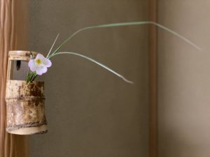 季節の花